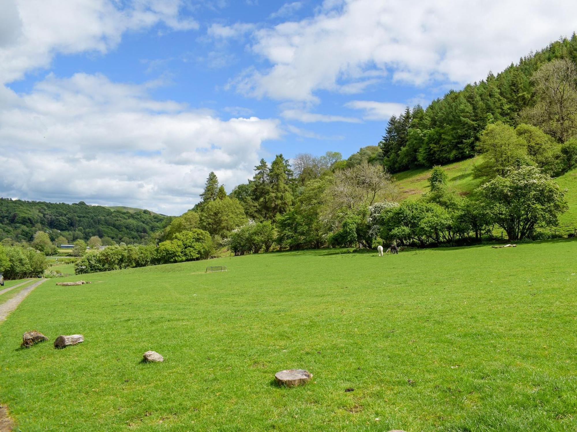 Lower Goytre Farmhouse Llanfair Waterdine ภายนอก รูปภาพ